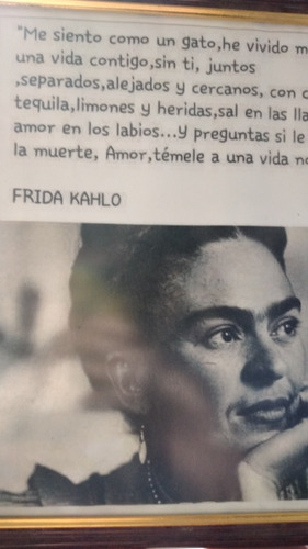 Cuadro De Frida Kahlo 
