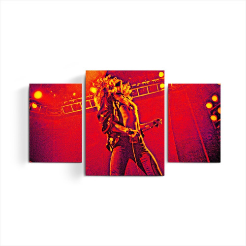 Cuadro Triptico Led Zeppelin Musica Banda Rock Jimmy Page