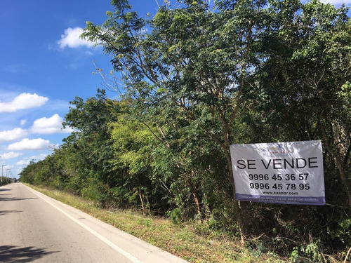 Imagen 1 de 8 de Venta De Terreno, Para Inversionistas Con Excelente Ubicació
