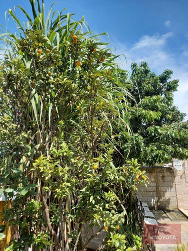 Imagem 2 de 23 de Chácara Com 2 Dormitórios À Venda, 900 M² Por R$ 450.000,00 - Jardim São Domingos - Guarulhos/sp - Ch0002