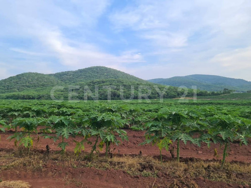 Venta Rancho Los Asmoles Colima