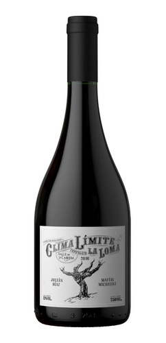 Clima Limite Pinot Noir 2016 Vino Boutique Matias Michelini 