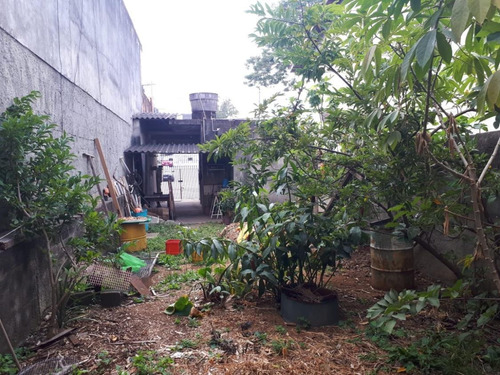 Imagem 7 de 8 de Terreno Com Salão Em Perus - 9849