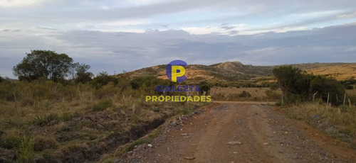 Imagen 2 de 12 de 5 Hectáreas, Entrega 8.000 Y El Saldo En Cuotas De 593 U$s