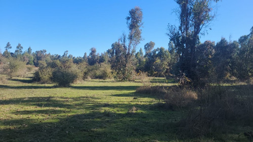 Terreno 5000 M2 En Camino A Laguna Quilmo