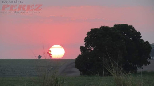 Imagem 14 de 17 de Chácaras_sítios_fazendas Para Alugar - 13650.7785
