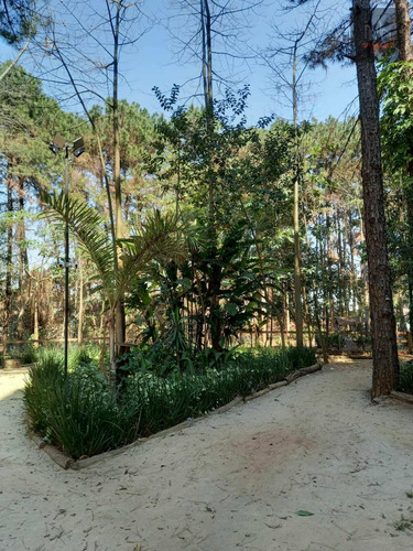 Imagem 5 de 30 de Apartamento À Venda Com 2 Dormitórios, Sendo 1 Suíte Na Vila Mendes Próximo A Estação Vila Tolstoi - Tc1617