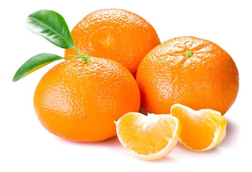 Árbol De Mandarina Satsuma Iwasaki