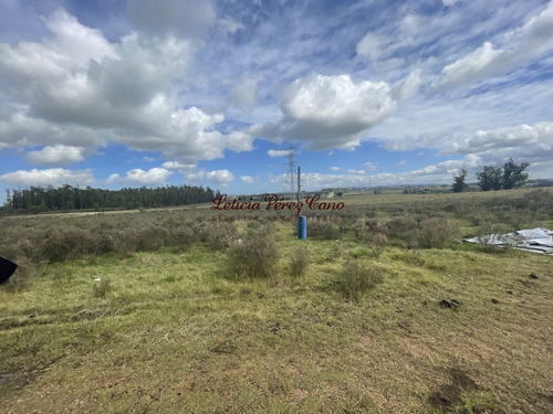 Imagen 10 de 10 de Venta Chacra 7 Has Sobre Ruta 9, A 18 Kms De Punta Del Este