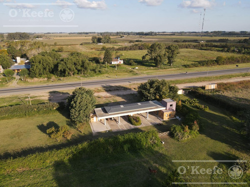 Tierra Para Desarrollo En Venta Sobre Ruta 3 Km 186, Las Flores
