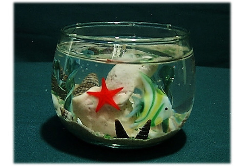 Imagen 9 de 10 de Caracolas Y Conchas Marinas Para Velas De Gel - 12 Piezas