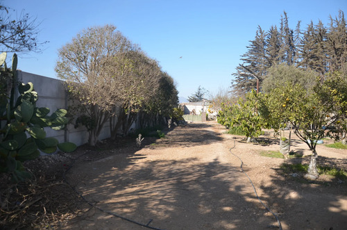Se Vende Parcela Con Hermosa Casa Pan De Azúcar, Coquimbo.