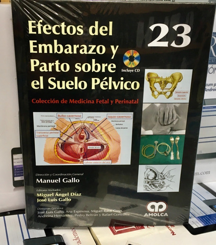 Efectos Del Embarazo Y Parto Sobre El Suelo Pélvico