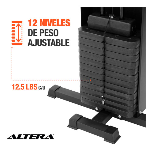 Gimnasio Multifuncional Jungla de Ejercicio LEVERKUSEN Estación Gym Boxeo Dominadas Predicador Poleas Estructura Negro Tapizado Negro