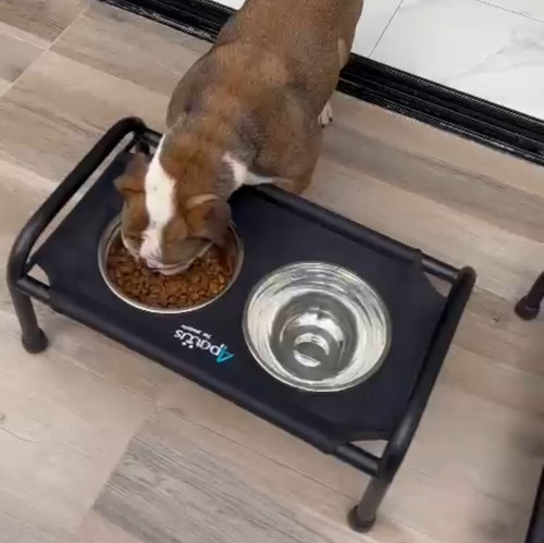 Comedero Elevado Mediano Para Perros