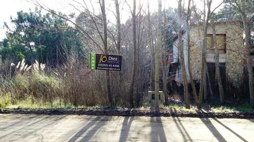 Imagen 4 de 6 de Lote Mar Azul Forestado
