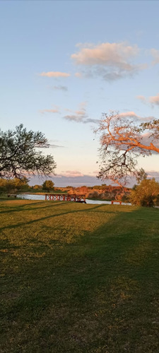 Venta Terreno Frente Al Río En  El Sausalito 