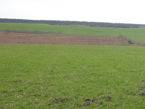 Imagen 3 de 7 de Terreno Campo En Venta Ubicado En Aguada, Montevideo