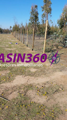 Tu Hogar Ideal Te Espera En Litueche Parcela De 5000 M