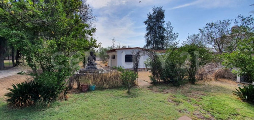Imagen 7 de 19 de Terreno En Venta En Tequisquiapan Querétaro