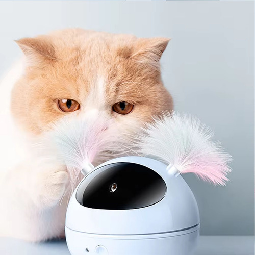 Puntero Láser, Juguete Láser Con Luz Led Para Gatos, Con Inf