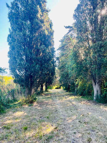 Venta Campo 7 Hectáreas El Cazador, Escobar