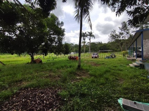 Imagen 20 de 20 de Finca Avicola En Venta Bejuma Carabobo