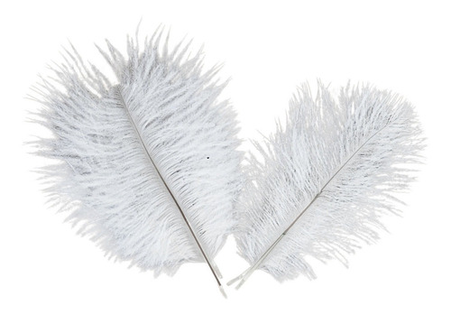 Pluma De Avestruz Confete 5 A 12 Cm Carnaval Artesanato 002 Cor Branco