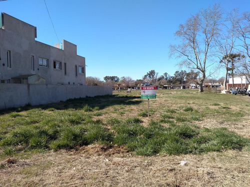 Imagen 9 de 10 de En Venta - Espectacular Lote (12 X 25,5) - Localidad De Pila