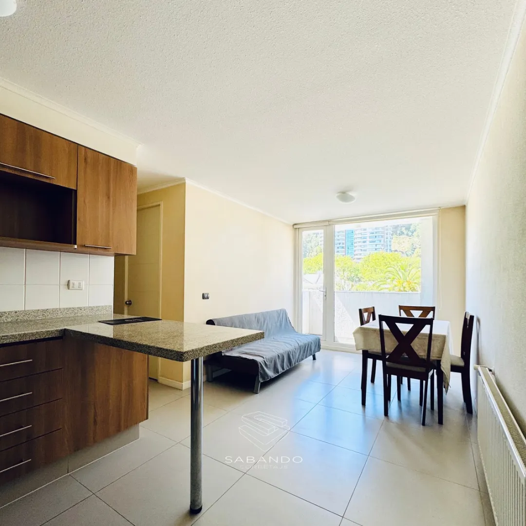 Imagen 2 de 13 de Departamento En Venta Castellón Amoblado