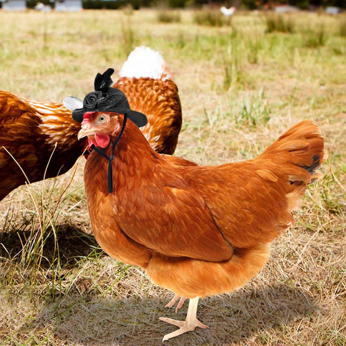 Accesorios Sombrero De Plumas Moderno Con Correa Elástica Pa