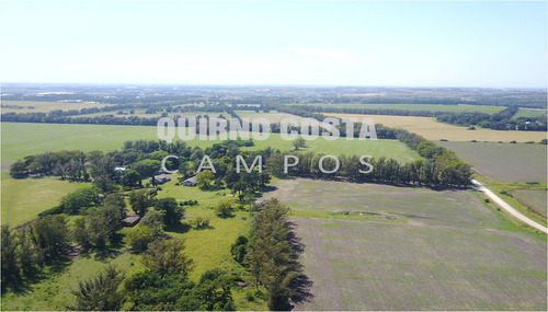 Campo Agricola Venta Sierra De Los Padres Mar Del Plata