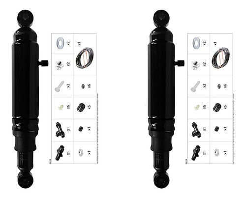 2 Amortiguadores Max-air Max-lift Dodge Ram 1500 09 A 14