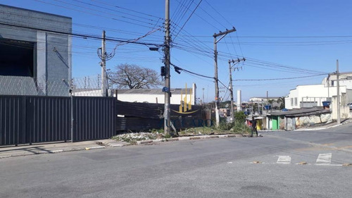 Terreno Comercial À Venda, Cumbica, Guarulhos. - Te0521