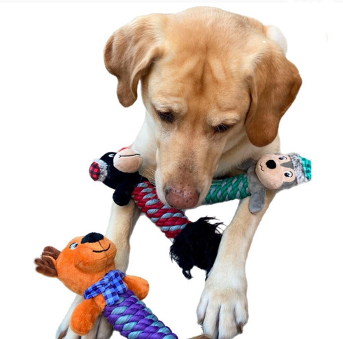 Juguete Para Perro 3pz Think Dog