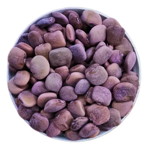 Semilla De Jicama Var. San Juan (2 Millares)