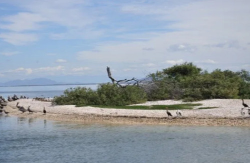 Sinaloa Isla De Tachichitle Terreno Venta Angostura