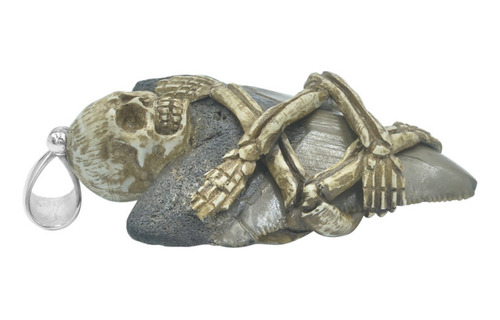 Dije De Diente De Tiburón Fósil Con Esqueleto Decorativo