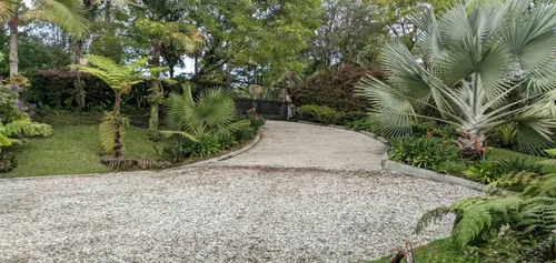Finca En Arriendo Ubicada En El Carmen De Viboral Sector Vereda Samaria (24702).
