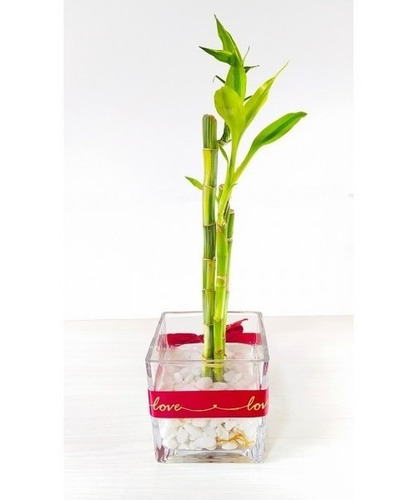 Imagen 7 de 8 de Recuerdos De Bambu Personalizados De La Suerte, Natural
