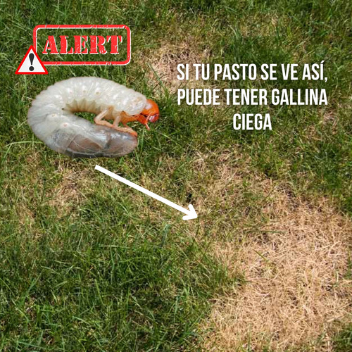 Gallinatox 3% Control De Gallina Ciega Insecticida 1kg.