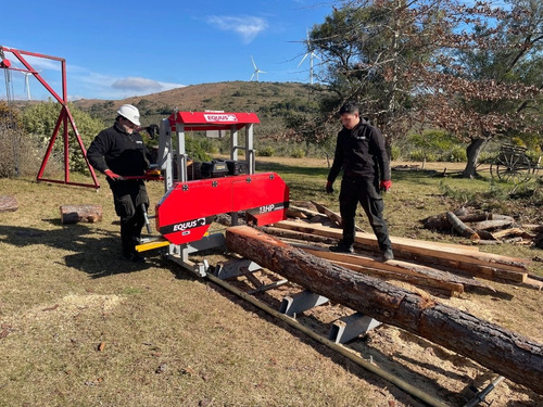 Aserradero Portatil Equus Sm810g Motor A Nafta 13hp 4m