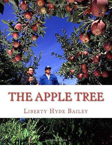 The Apple Tree A Guide To Growing Apples At Home