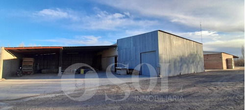 Imagen 22 de 30 de Galpón 1500 M2 En Allen