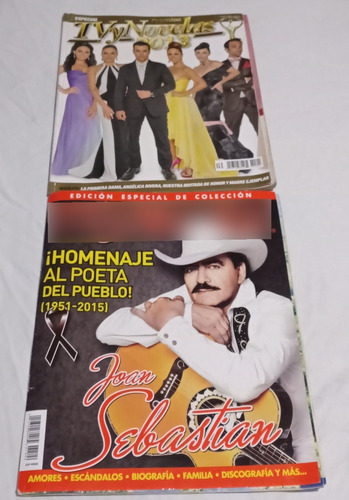 Lote De 10 Revistas Tv Notas 