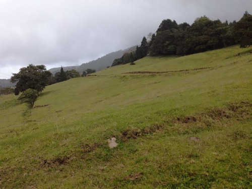 Imagen 2 de 9 de Finca En El Roble/santa Barbara, 18.7 Hectareas