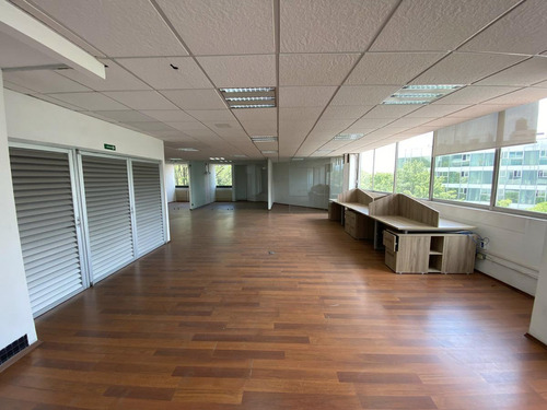 Oficinas En Renta Desde 70 M2 Hasta 450 M2 En Constituyentes