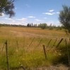 Venta Chacra De 12 Has. Trelew (chubut).