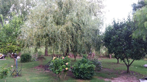 Imagen 10 de 10 de Casa De Dos Dormitorios En San Javier Río Negro