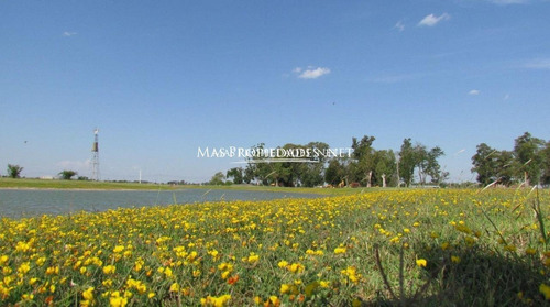 Imagen 3 de 15 de Lote A La Laguna En San Lucas